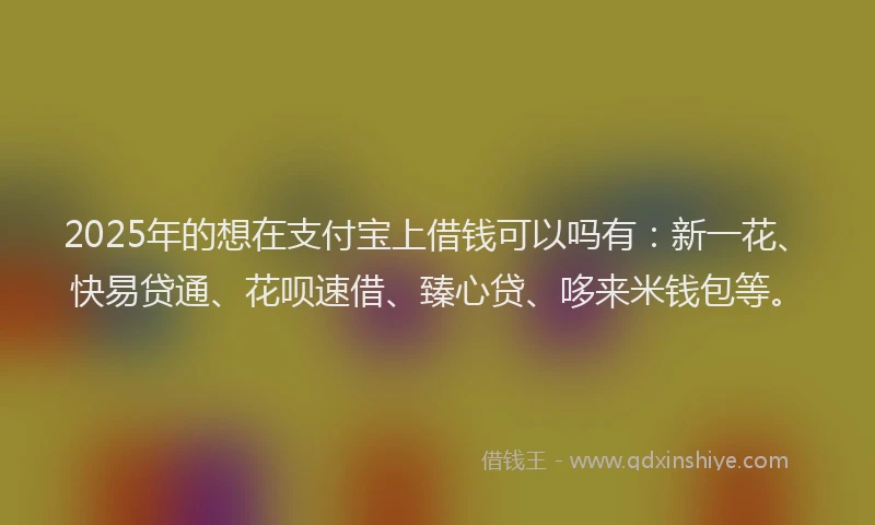 2025年的想在支付宝上借钱可以吗有：新一花、快易贷通、花呗速借、臻心贷、哆来米钱包等。