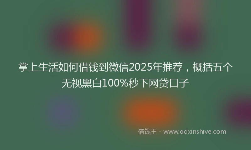 掌上生活如何借钱到微信2025年推荐，概括五个无视黑白100%秒下网贷口子