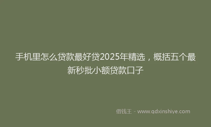 手机里怎么贷款最好贷2025年精选，概括五个最新秒批小额贷款口子