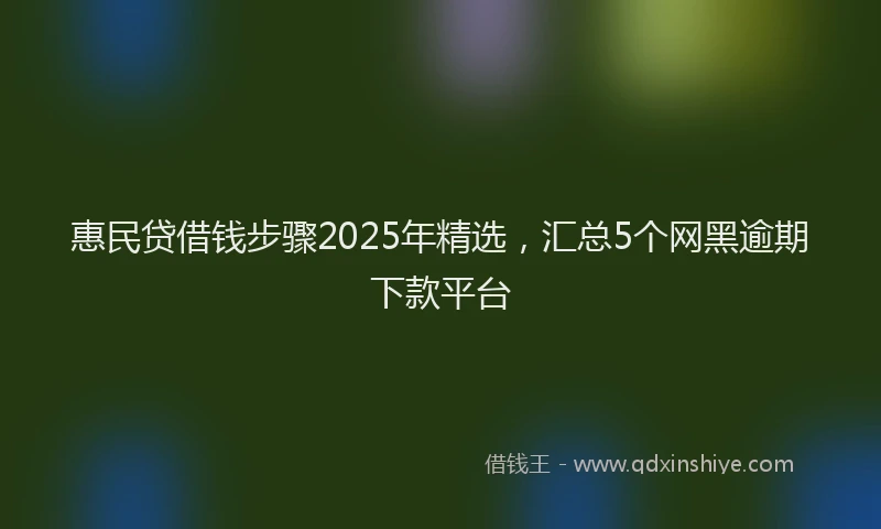 惠民贷借钱步骤2025年精选，汇总5个网黑逾期下款平台