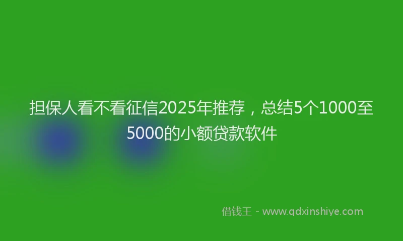 担保人看不看征信2025年推荐，总结5个1000至5000的小额贷款软件