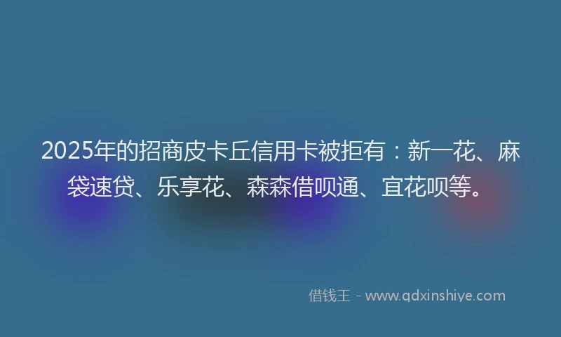 2025年的招商皮卡丘信用卡被拒有：新一花、麻袋速贷、乐享花、森森借呗通、宜花呗等。