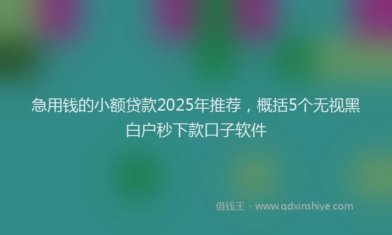急用钱的小额贷款2025年推荐，概括5个无视黑白户秒下款口子软件