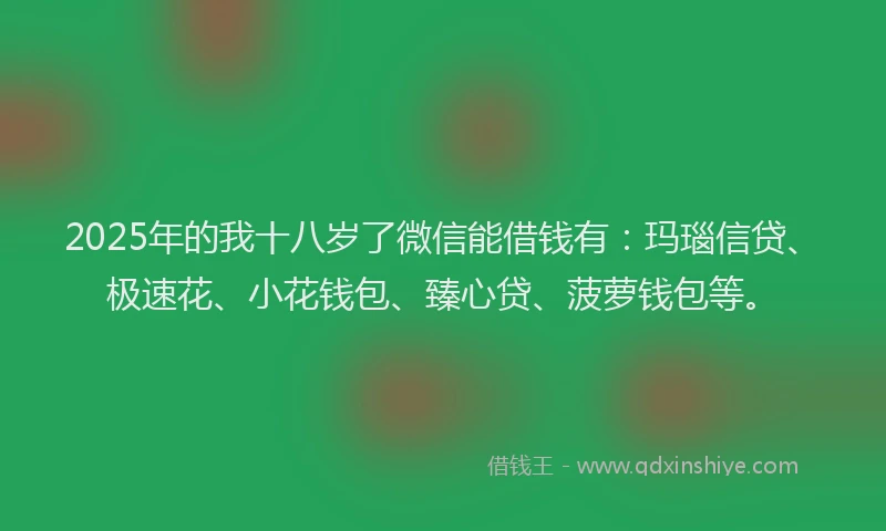2025年的我十八岁了微信能借钱有：玛瑙信贷、极速花、小花钱包、臻心贷、菠萝钱包等。
