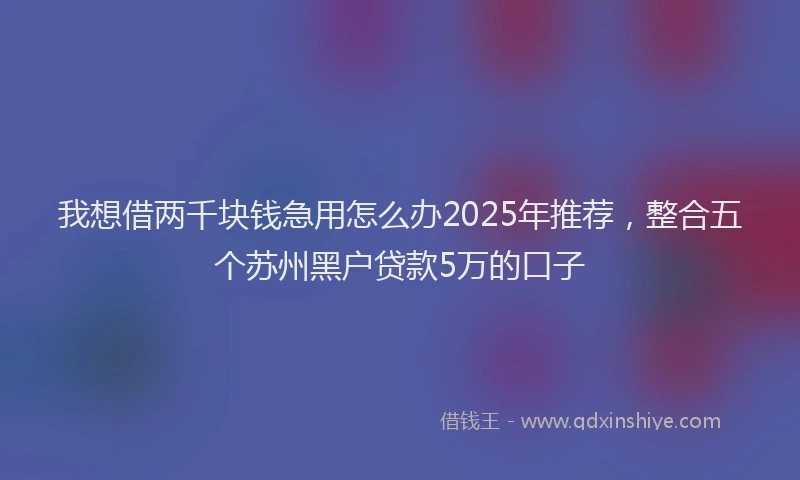 我想借两千块钱急用怎么办2025年推荐，整合五个苏州黑户贷款5万的口子