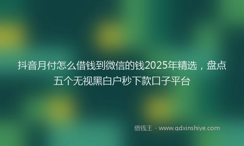 抖音月付怎么借钱到微信的钱2025年精选，盘点五个无视黑白户秒下款口子平台