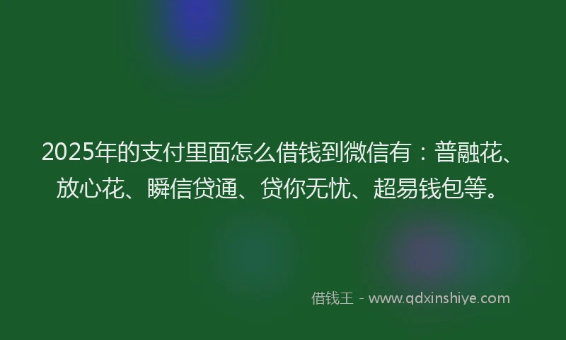 2025年的支付里面怎么借钱到微信有：普融花、放心花、瞬信贷通、贷你无忧、超易钱包等。