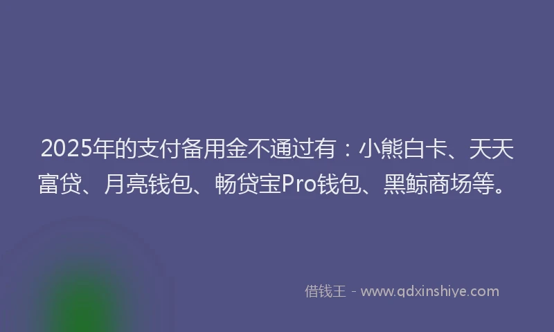2025年的支付备用金不通过有：小熊白卡、天天富贷、月亮钱包、畅贷宝Pro钱包、黑鲸商场等。