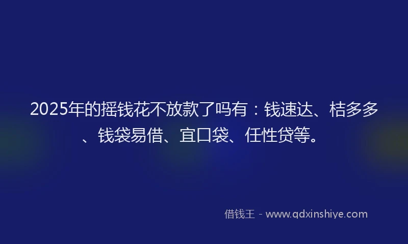 2025年的摇钱花不放款了吗有：钱速达、桔多多、钱袋易借、宜口袋、任性贷等。