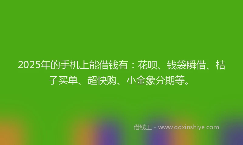2025年的手机上能借钱有：花呗、钱袋瞬借、桔子买单、超快购、小金象分期等。