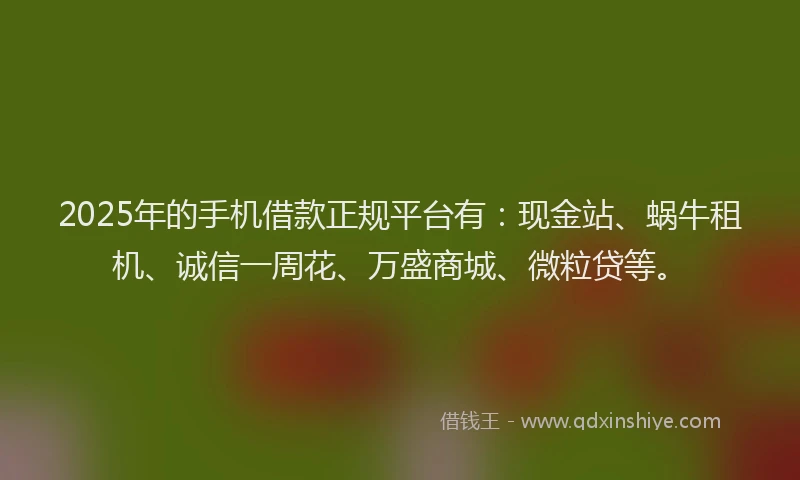 2025年的手机借款正规平台有：现金站、蜗牛租机、诚信一周花、万盛商城、微粒贷等。