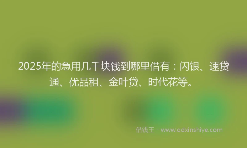2025年的急用几千块钱到哪里借有：闪银、速贷通、优品租、金叶贷、时代花等。
