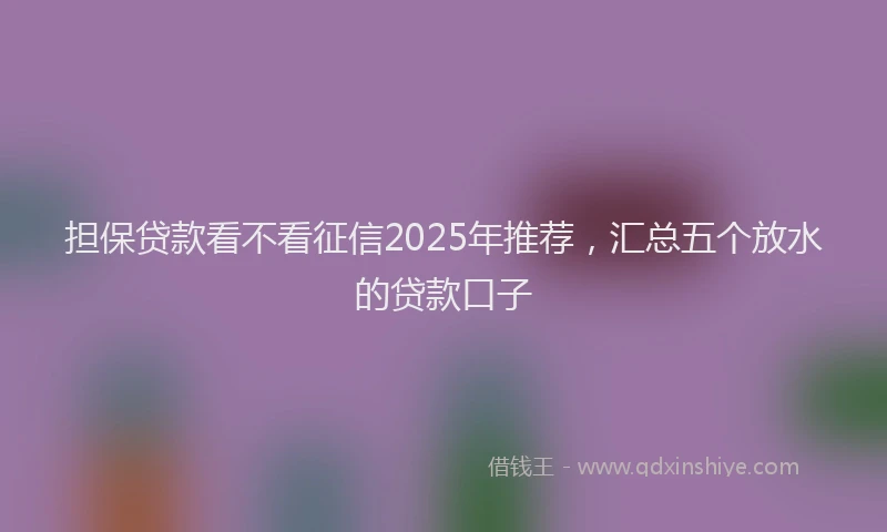 担保贷款看不看征信2025年推荐，汇总五个放水的贷款口子