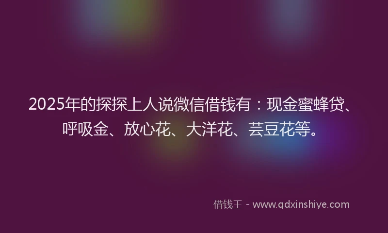 2025年的探探上人说微信借钱有：现金蜜蜂贷、呼吸金、放心花、大洋花、芸豆花等。