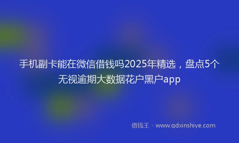手机副卡能在微信借钱吗2025年精选，盘点5个无视逾期大数据花户黑户app