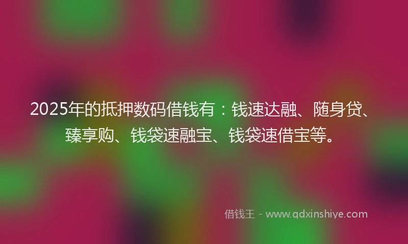2025年的抵押数码借钱有：钱速达融、随身贷、臻享购、钱袋速融宝、钱袋速借宝等。
