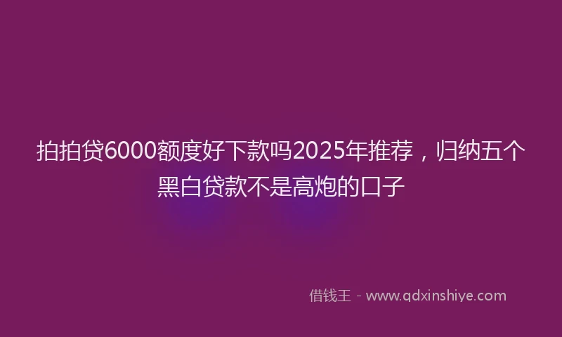 拍拍贷6000额度好下款吗2025年推荐，归纳五个黑白贷款不是高炮的口子