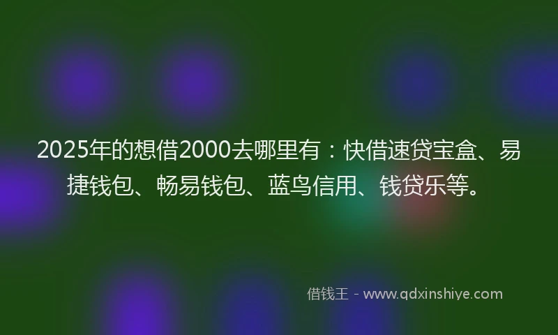 2025年的想借2000去哪里有：快借速贷宝盒、易捷钱包、畅易钱包、蓝鸟信用、钱贷乐等。