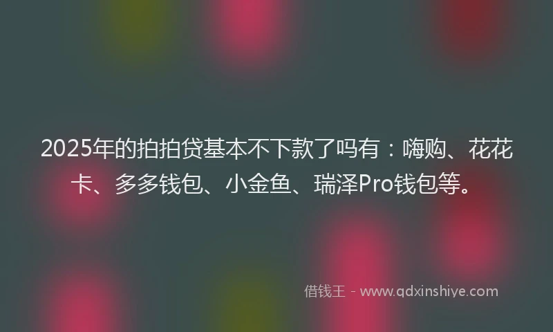 2025年的拍拍贷基本不下款了吗有：嗨购、花花卡、多多钱包、小金鱼、瑞泽Pro钱包等。