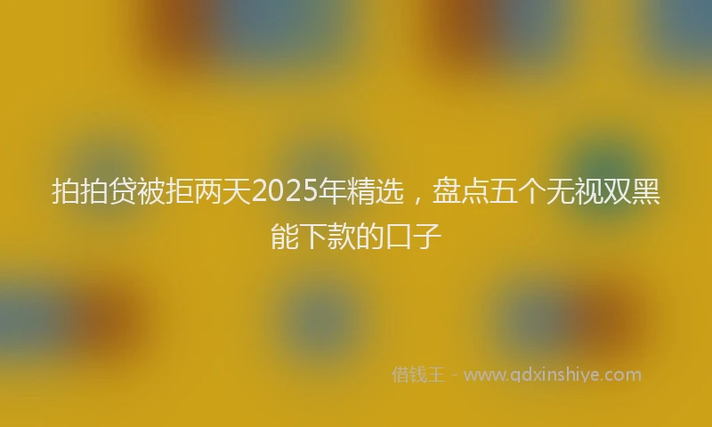 拍拍贷被拒两天2025年精选，盘点五个无视双黑能下款的口子
