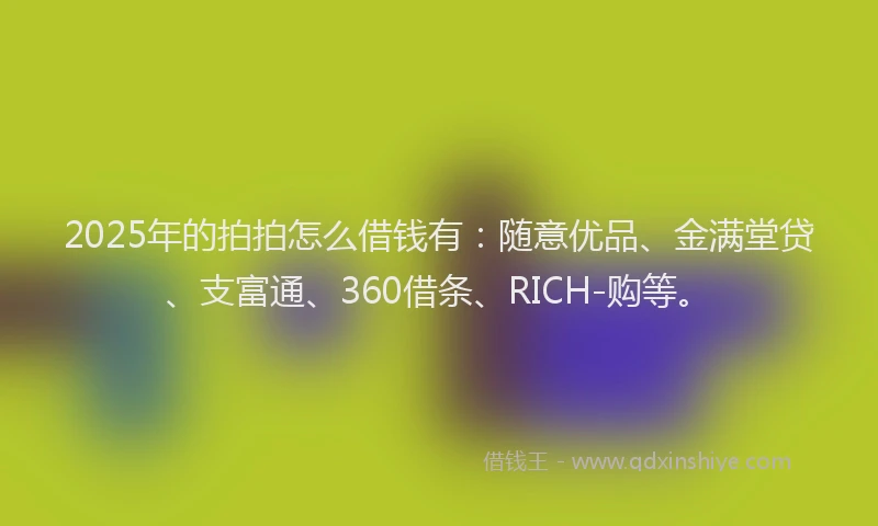 2025年的拍拍怎么借钱有：随意优品、金满堂贷、支富通、360借条、RICH-购等。