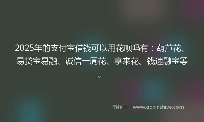 2025年的支付宝借钱可以用花呗吗有：葫芦花、易贷宝易融、诚信一周花、享来花、钱速融宝等。