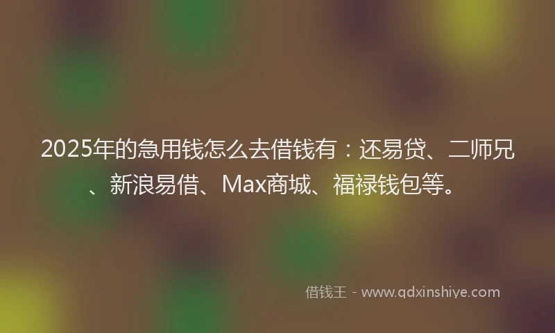 2025年的急用钱怎么去借钱有：还易贷、二师兄、新浪易借、Max商城、福禄钱包等。