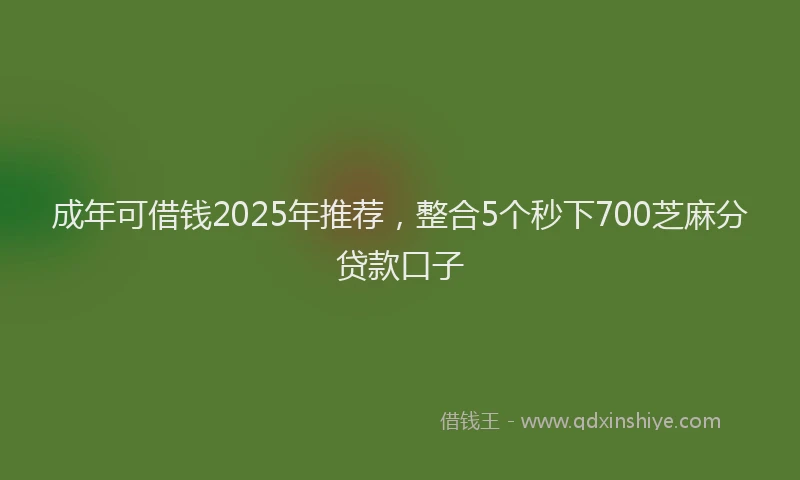 成年可借钱2025年推荐，整合5个秒下700芝麻分贷款口子