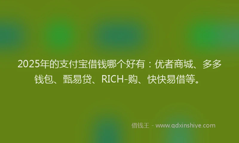 2025年的支付宝借钱哪个好有：优者商城、多多钱包、甄易贷、RICH-购、快快易借等。