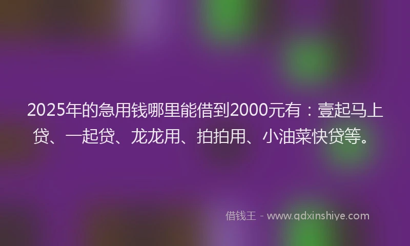 2025年的急用钱哪里能借到2000元有：壹起马上贷、一起贷、龙龙用、拍拍用、小油菜快贷等。