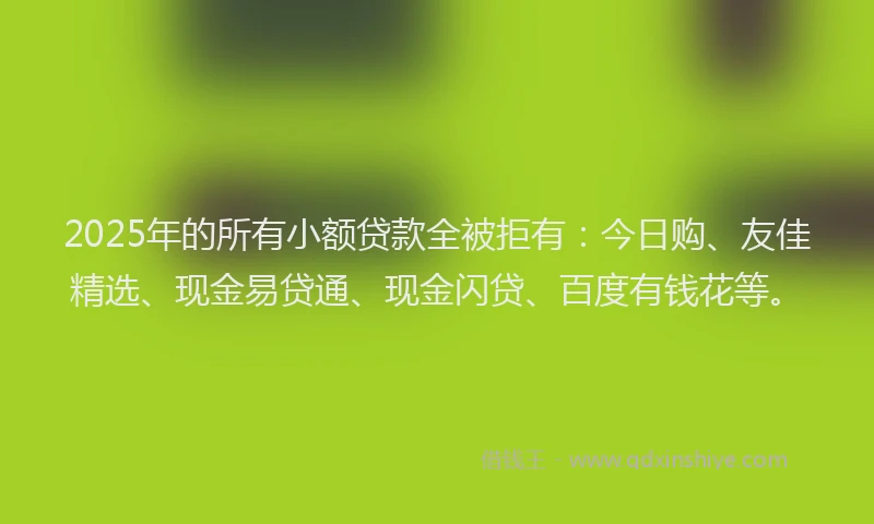 2025年的所有小额贷款全被拒有：今日购、友佳精选、现金易贷通、现金闪贷、百度有钱花等。
