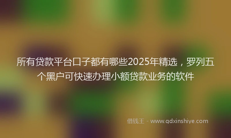 所有贷款平台口子都有哪些2025年精选，罗列五个黑户可快速办理小额贷款业务的软件