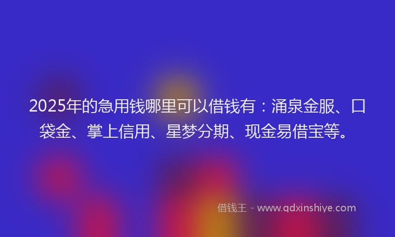 2025年的急用钱哪里可以借钱有：涌泉金服、口袋金、掌上信用、星梦分期、现金易借宝等。