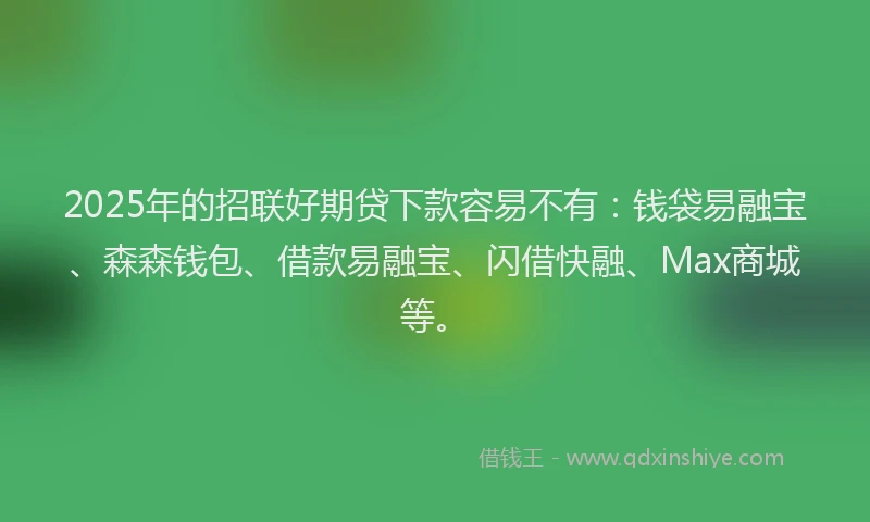 2025年的招联好期贷下款容易不有：钱袋易融宝、森森钱包、借款易融宝、闪借快融、Max商城等。