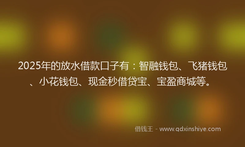 2025年的放水借款口子有：智融钱包、飞猪钱包、小花钱包、现金秒借贷宝、宝盈商城等。