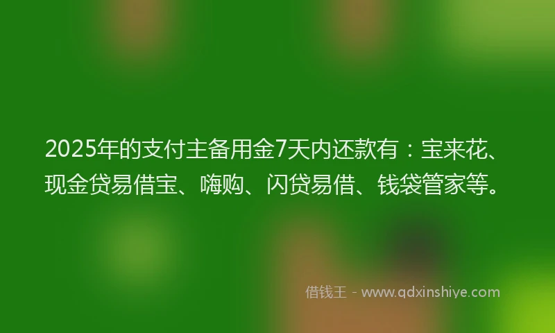 2025年的支付主备用金7天内还款有：宝来花、现金贷易借宝、嗨购、闪贷易借、钱袋管家等。