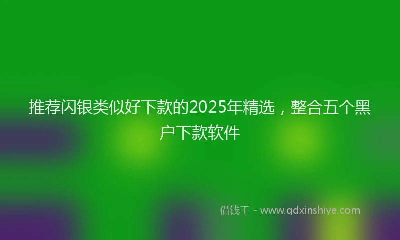 推荐闪银类似好下款的2025年精选，整合五个黑户下款软件