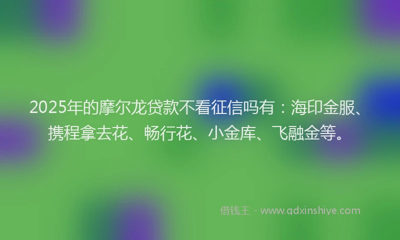 2025年的摩尔龙贷款不看征信吗有：海印金服、携程拿去花、畅行花、小金库、飞融金等。