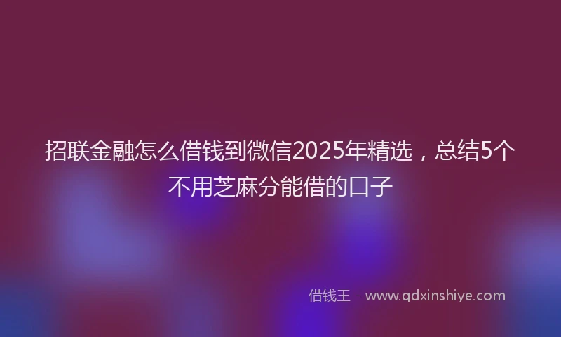 招联金融怎么借钱到微信2025年精选，总结5个不用芝麻分能借的口子