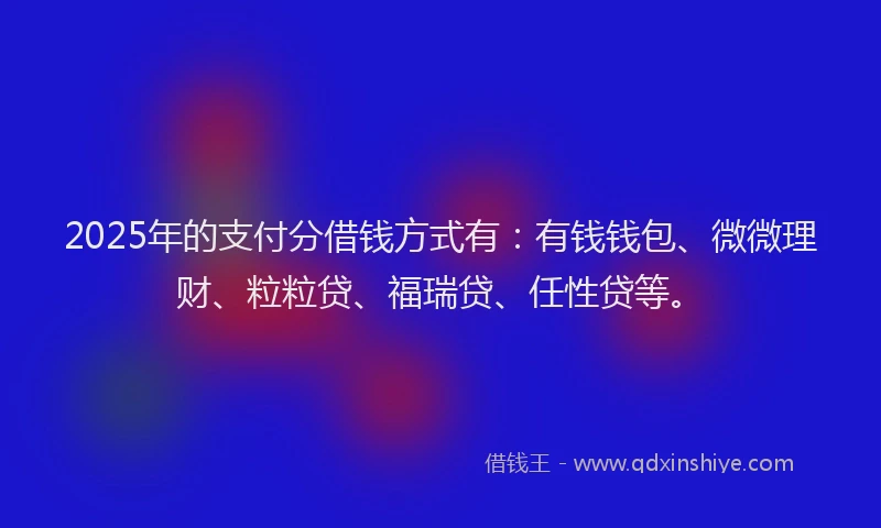 2025年的支付分借钱方式有：有钱钱包、微微理财、粒粒贷、福瑞贷、任性贷等。