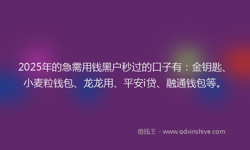 2025年的急需用钱黑户秒过的口子有：金钥匙、小麦粒钱包、龙龙用、平安i贷、融通钱包等。