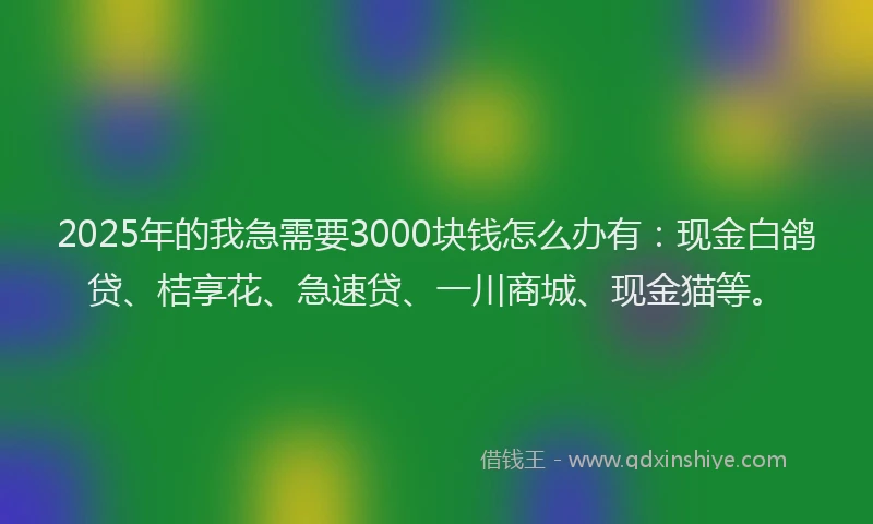 2025年的我急需要3000块钱怎么办有：现金白鸽贷、桔享花、急速贷、一川商城、现金猫等。