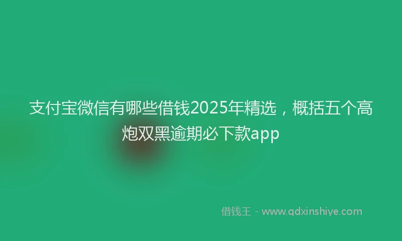支付宝微信有哪些借钱2025年精选，概括五个高炮双黑逾期必下款app
