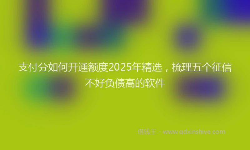 支付分如何开通额度2025年精选，梳理五个征信不好负债高的软件