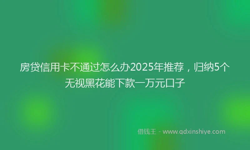 房贷信用卡不通过怎么办2025年推荐，归纳5个无视黑花能下款一万元口子