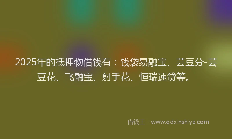2025年的抵押物借钱有：钱袋易融宝、芸豆分-芸豆花、飞融宝、射手花、恒瑞速贷等。
