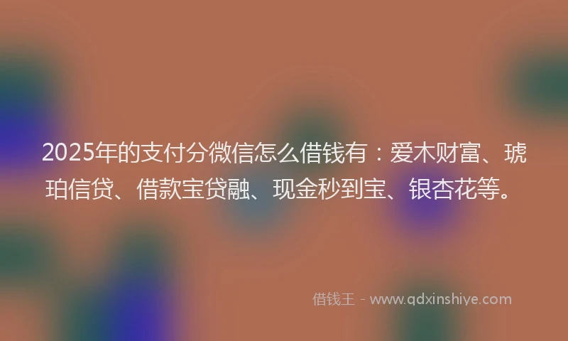 2025年的支付分微信怎么借钱有：爱木财富、琥珀信贷、借款宝贷融、现金秒到宝、银杏花等。
