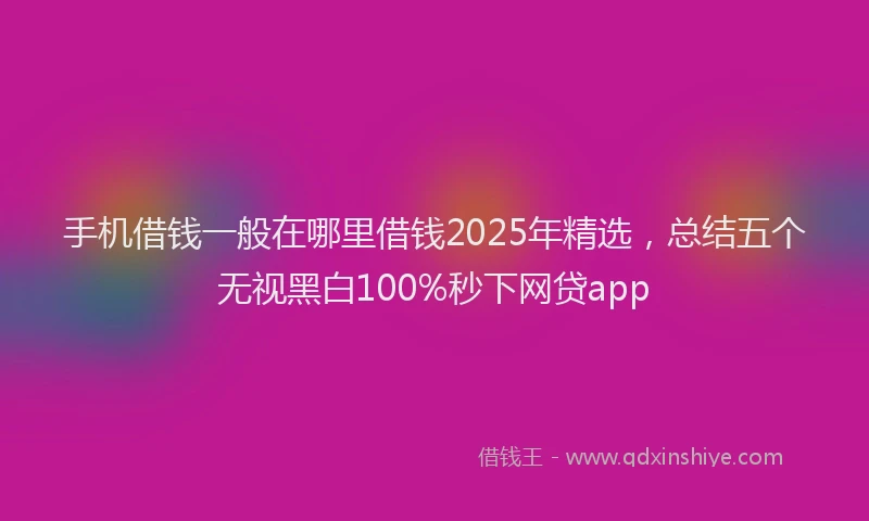 手机借钱一般在哪里借钱2025年精选，总结五个无视黑白100%秒下网贷app