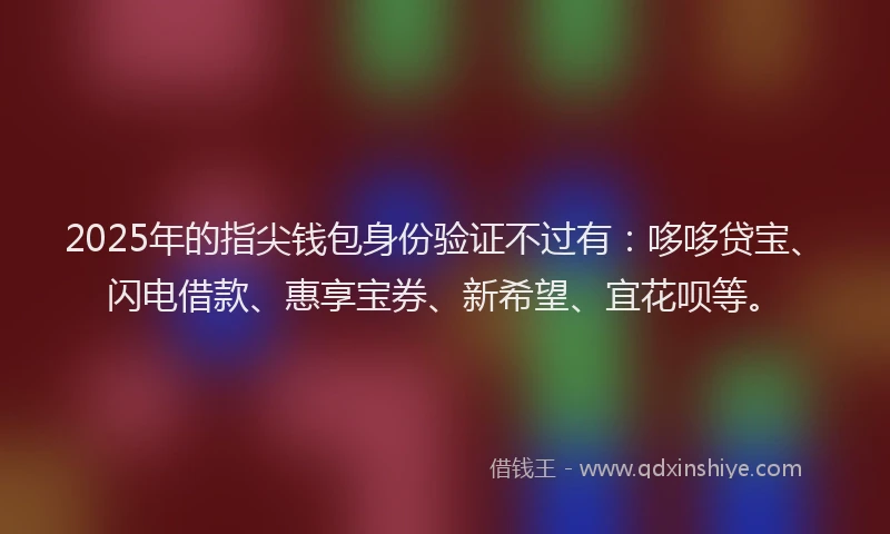 2025年的指尖钱包身份验证不过有：哆哆贷宝、闪电借款、惠享宝券、新希望、宜花呗等。