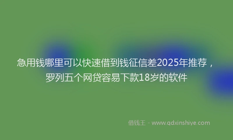 急用钱哪里可以快速借到钱征信差2025年推荐，罗列五个网贷容易下款18岁的软件